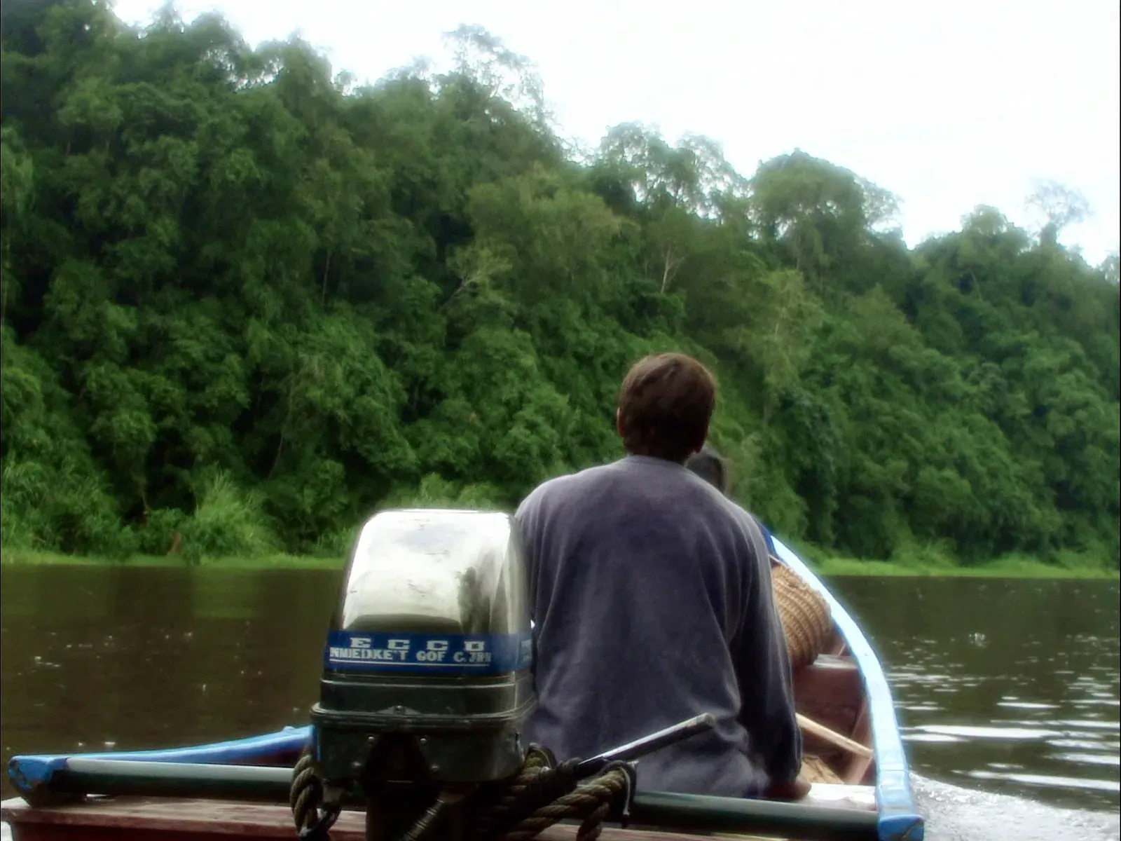 A small boat crossing calm water beside dense Panamanian rainforest
